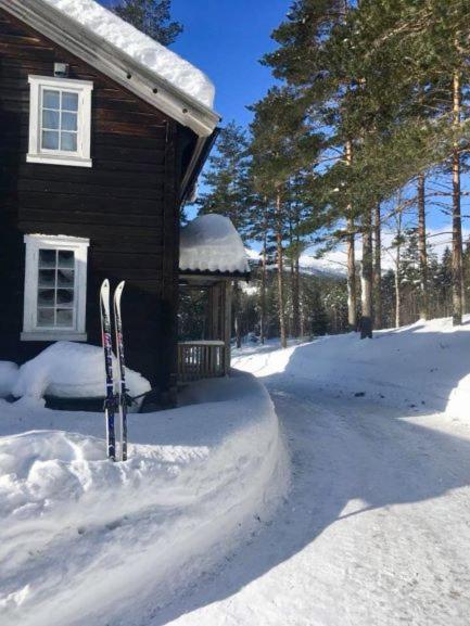 Breiva Gjestegaard Og Glamping Bo (Telemark) Exterior photo